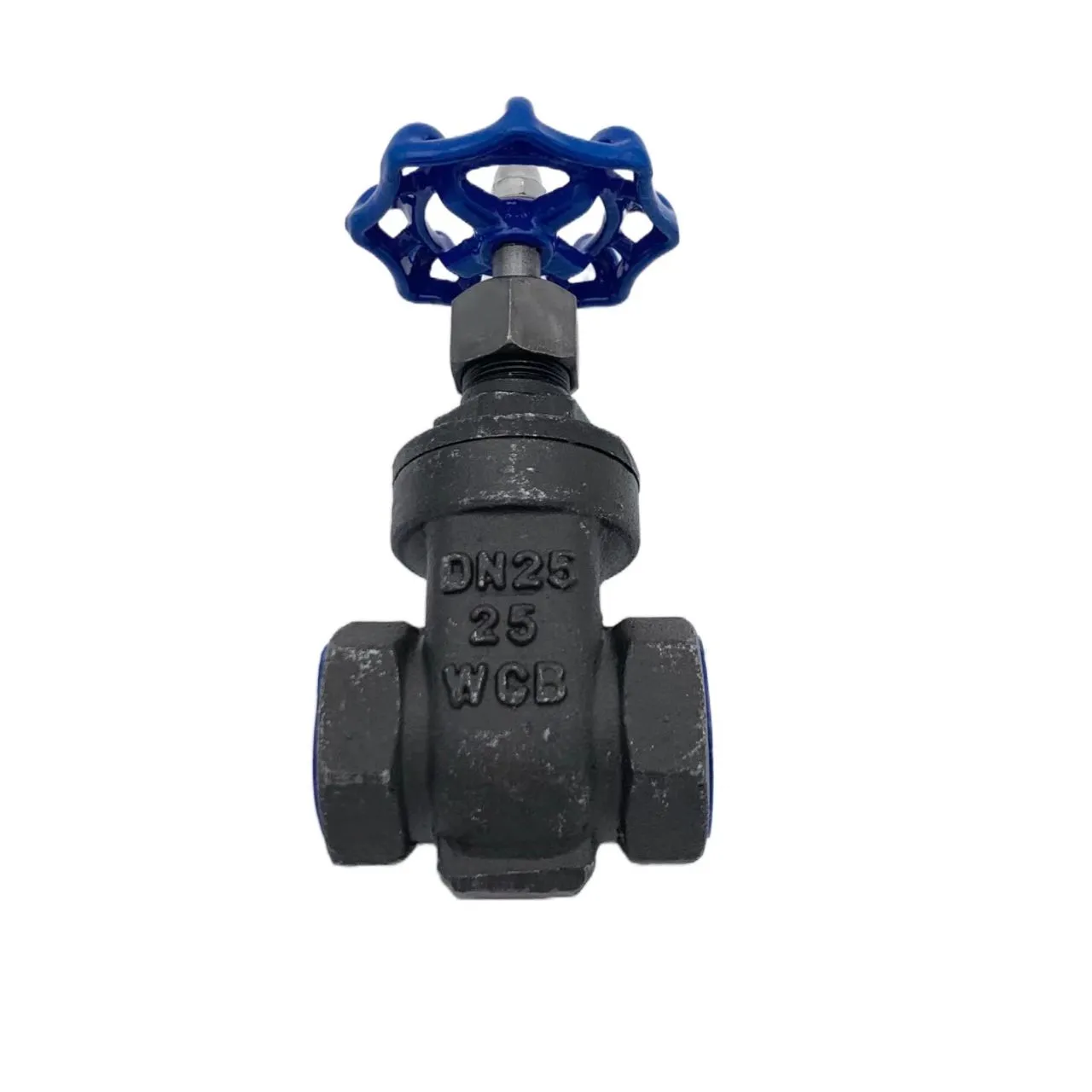 Carbon Steel Wire Buckle Gate Valve