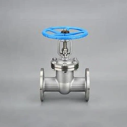 Precision Cast Stainless Steel Flange Gate Valve