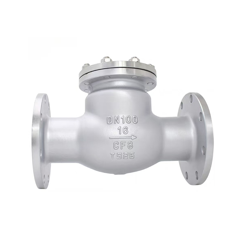Stainless Steel Swing Check Valve