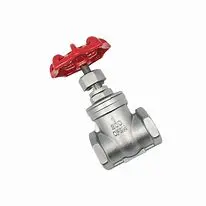 Stainless Steel Threaded Gate Valve