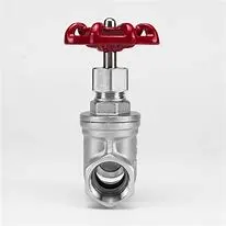 Stainless Steel Threaded Gate Valve