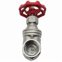 Stainless Steel Threaded Gate Valve