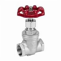Stainless Steel Threaded Gate Valve